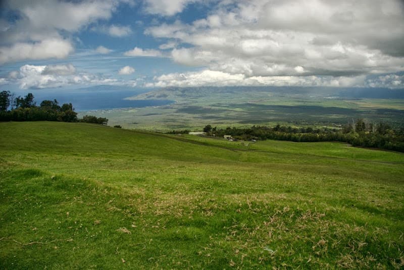 Polipoli Spring State Recreation Area