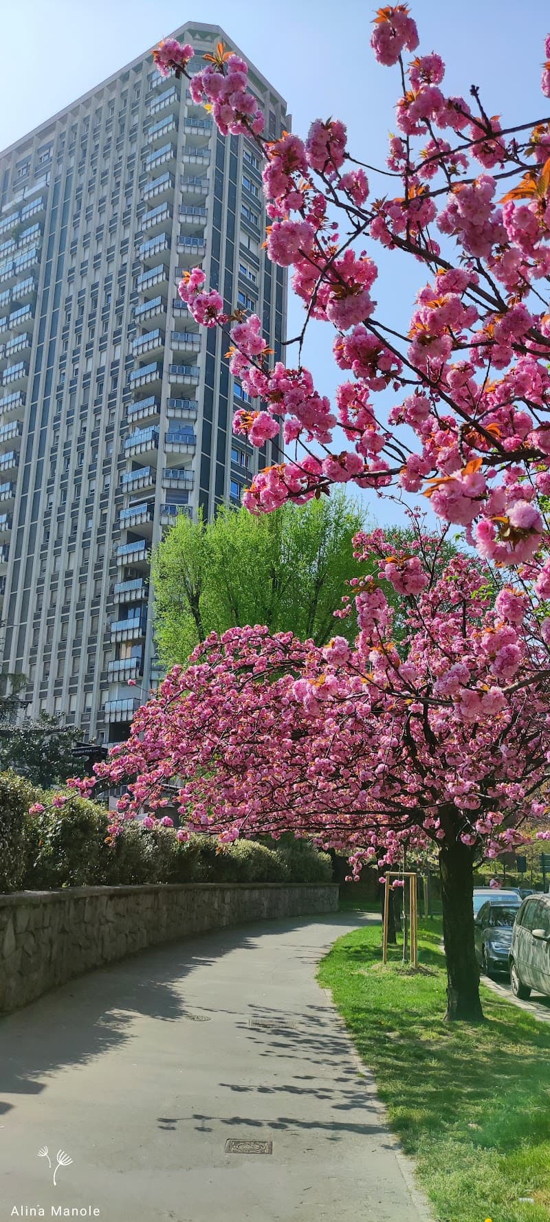 Porta Romana District Exploration