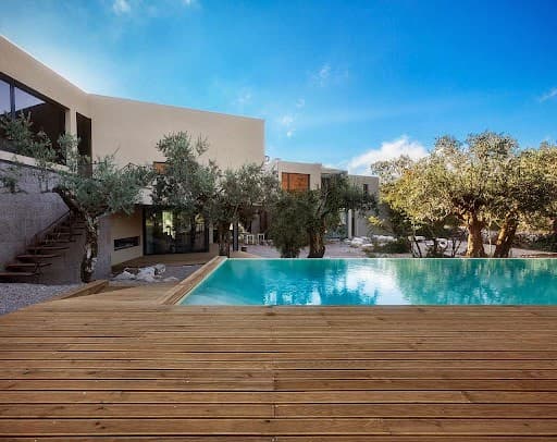 Eclectic Eats & Sips: 7 Days in Portugal