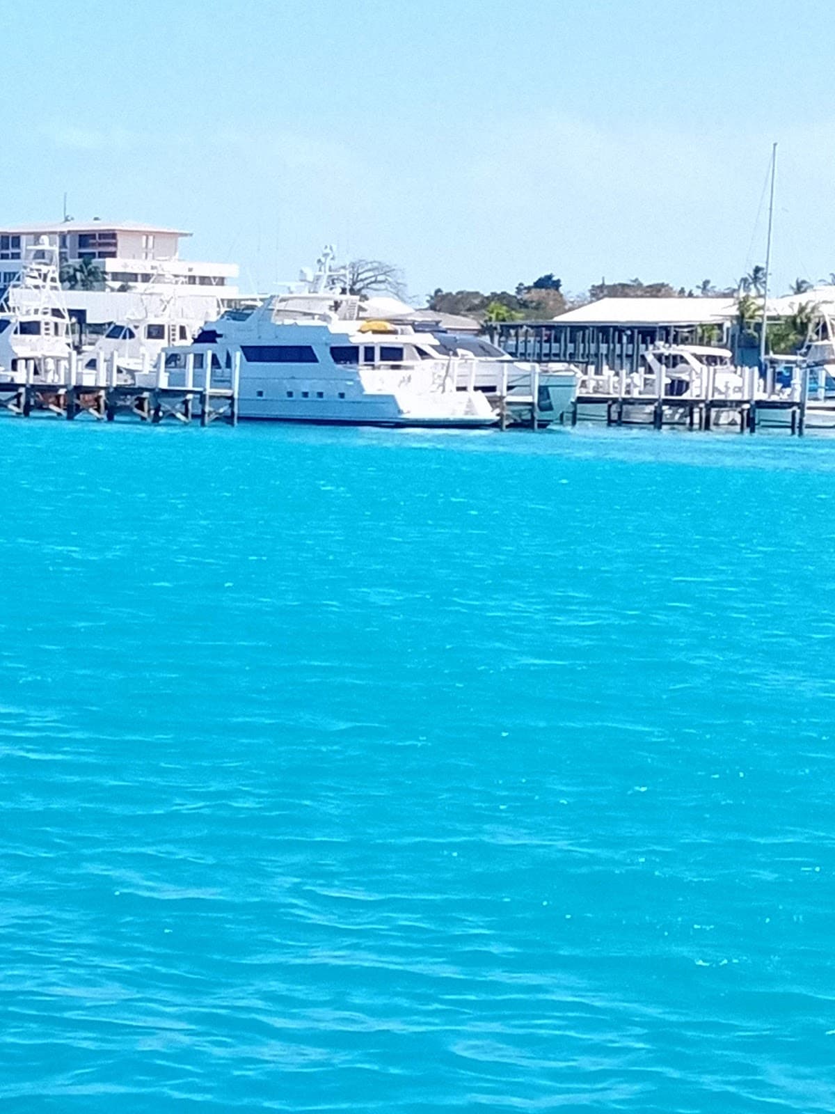 Potter's Cay Shopping