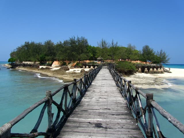 Prison Island (Changuu) & Giant Tortoises