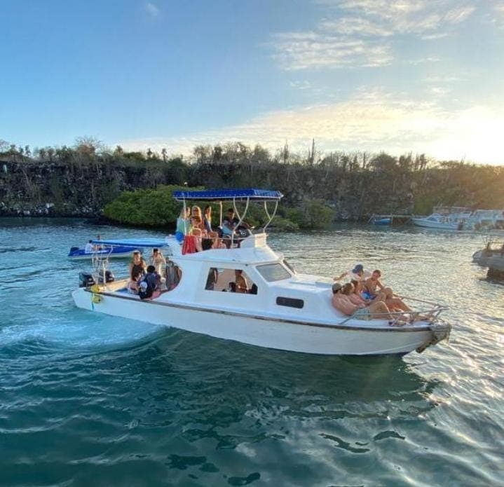 Jungle-Wild Galápagos Romance with Easy Island Hopping