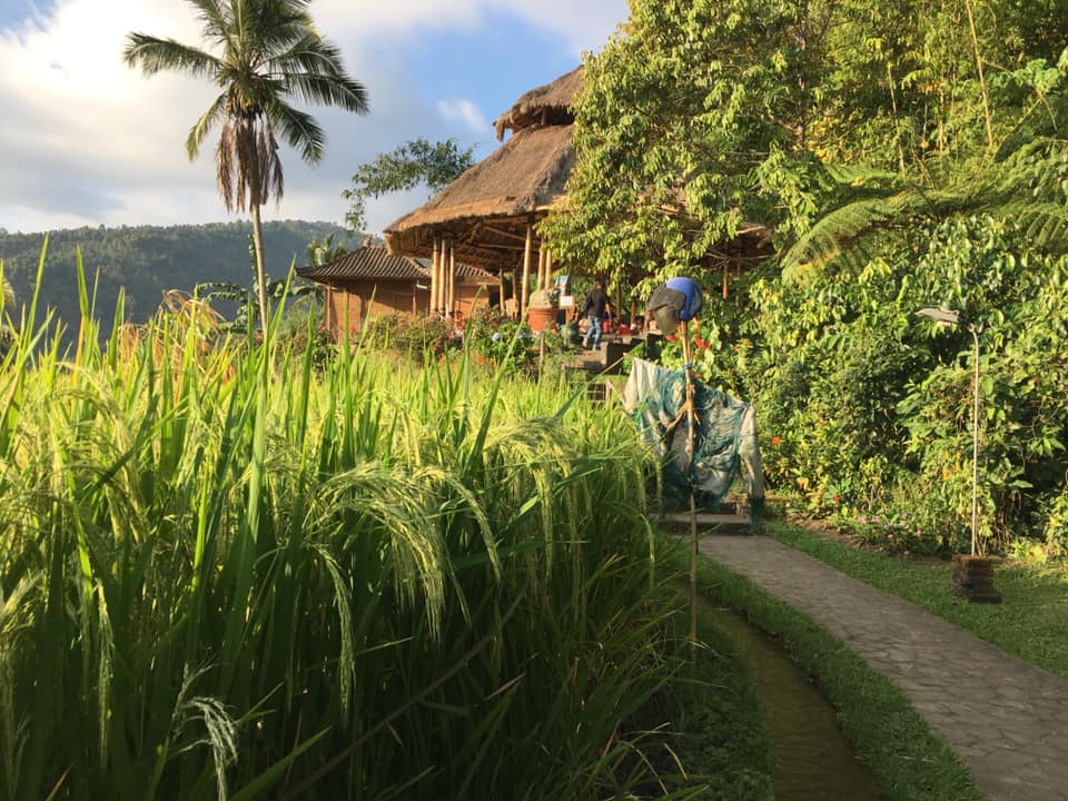 Puri Lumbung Cottages Restaurant