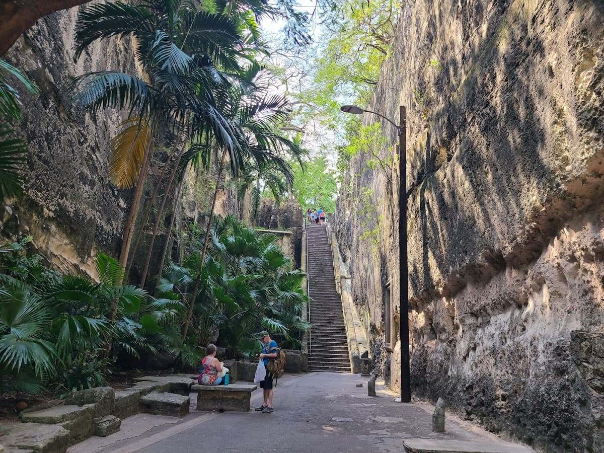 Queen's Staircase Nature