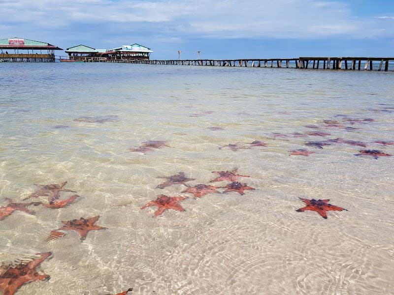 Rach Vem Starfish Beach & Mangrove Scenery