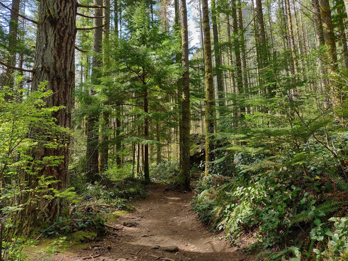 Rattlesnake Ledge Hike