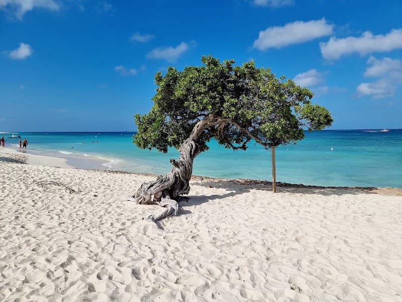 Relax on Eagle Beach