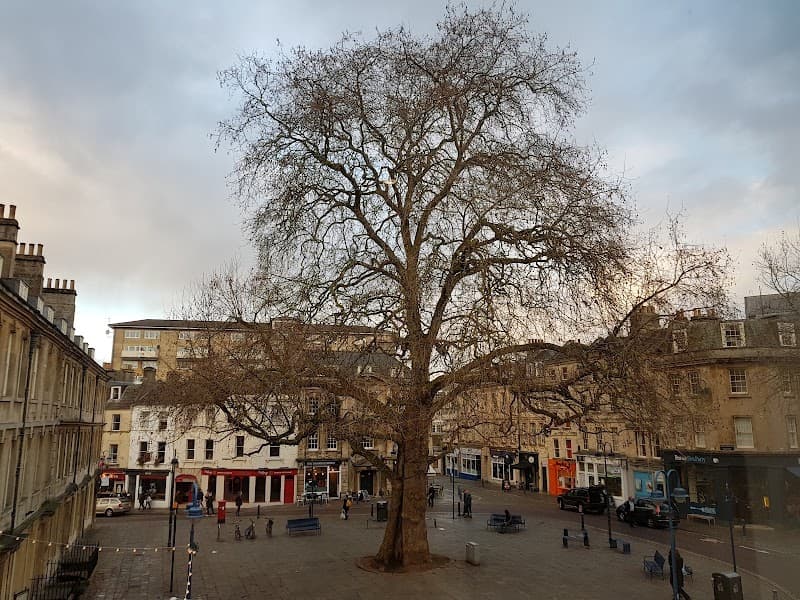 Relaxed Evening in Kingsmead Square