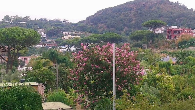 Residence Villa Cristina