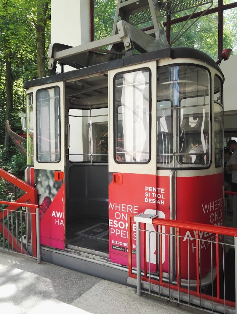Tâmpa Cable Car & Forest Walk