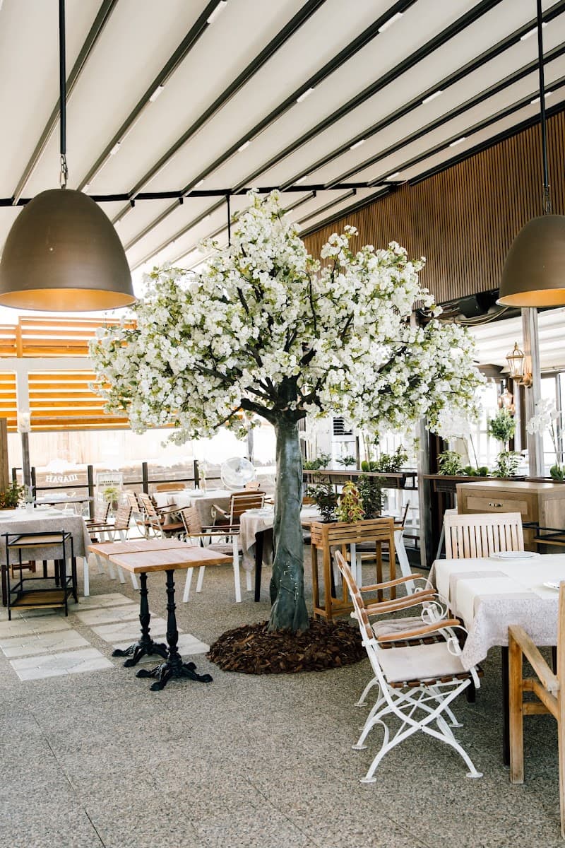 Restoran Šaran