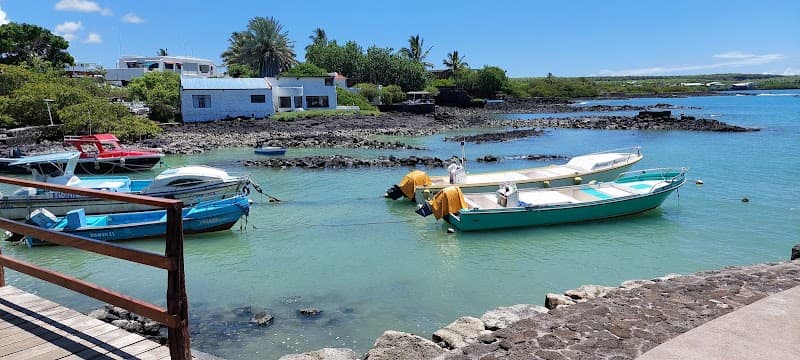 Return Speedboat to Santa Cruz