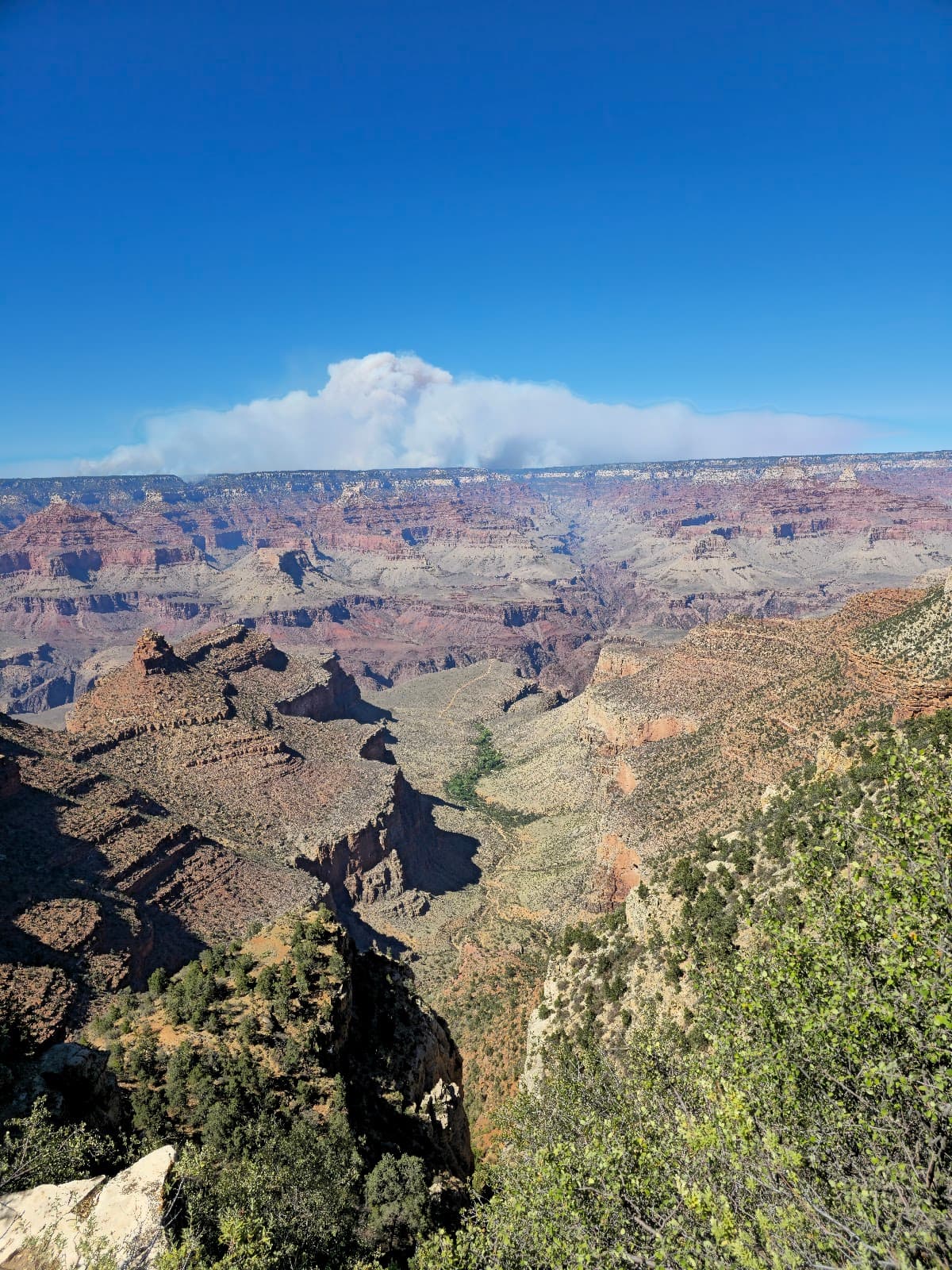 Rim Trail from Mather Point