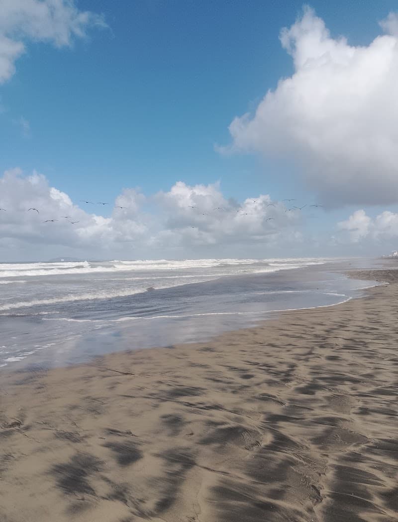 Rosarito Beach Horseback Riding