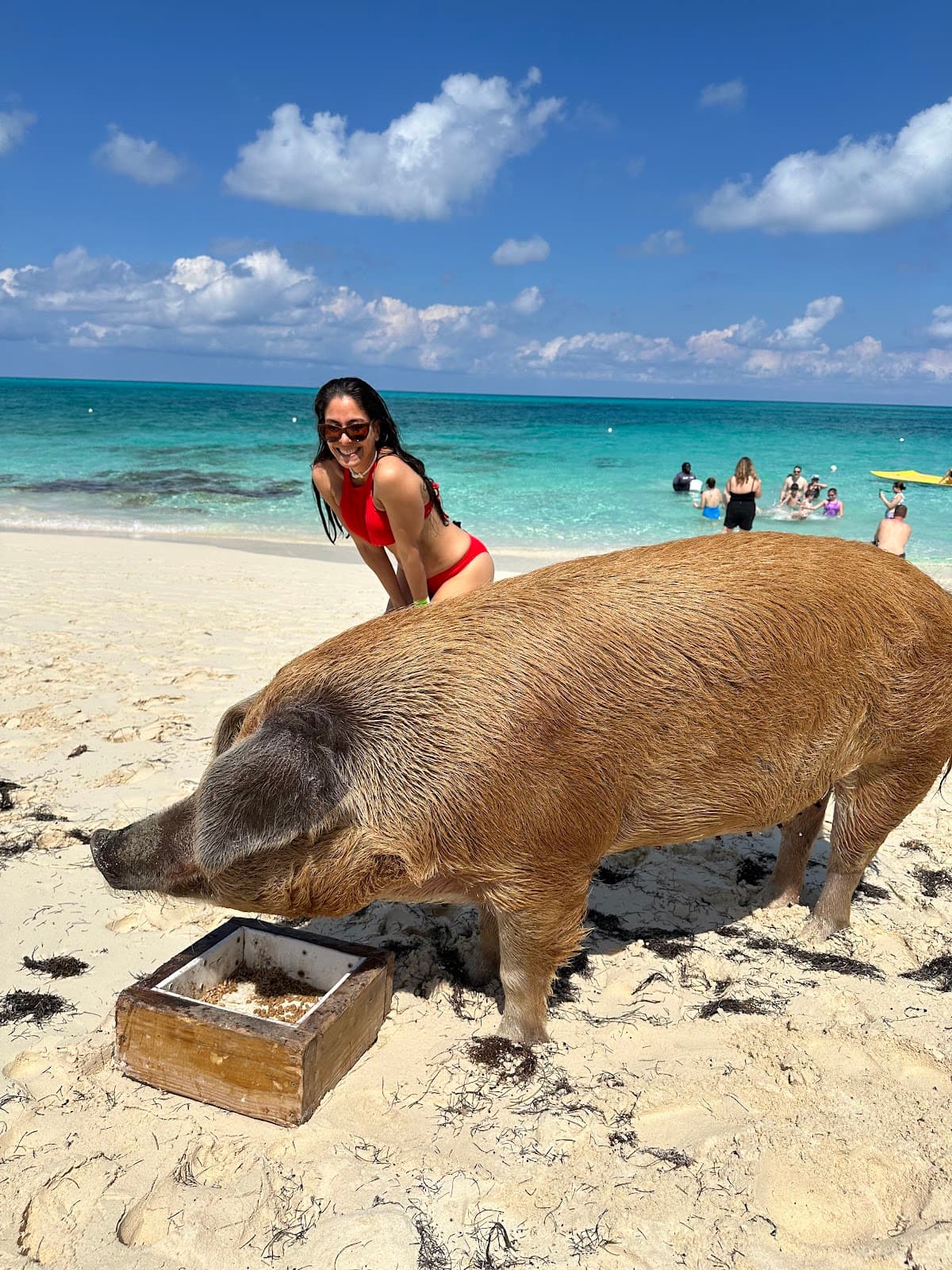 Rose Island Beach Club Lunch