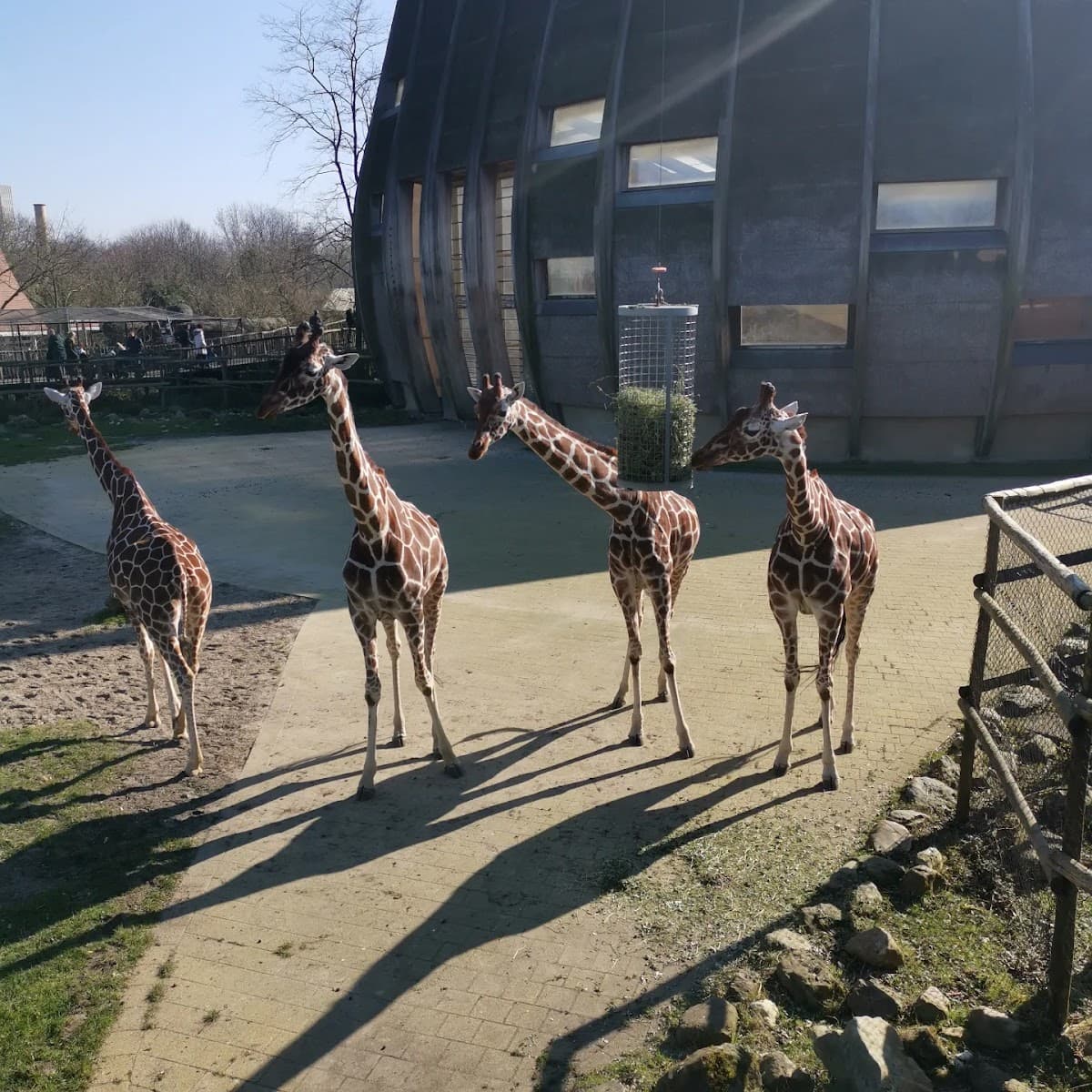 Rotterdam Zoo (Diergaarde Blijdorp)