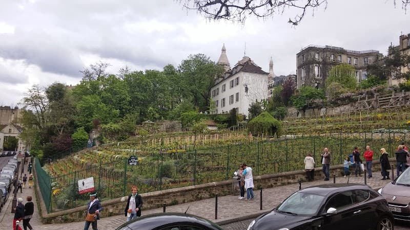 Rue des Saules Wine Tasting