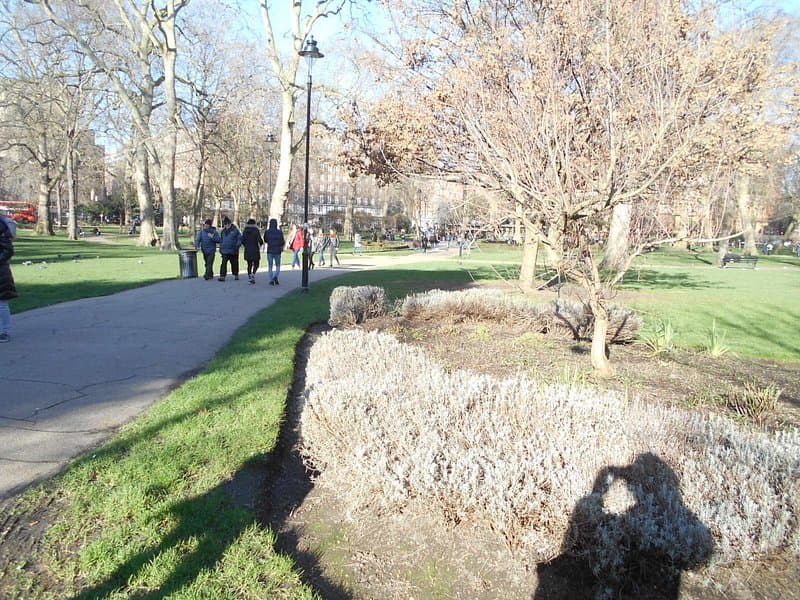 Russell Square & Gardens