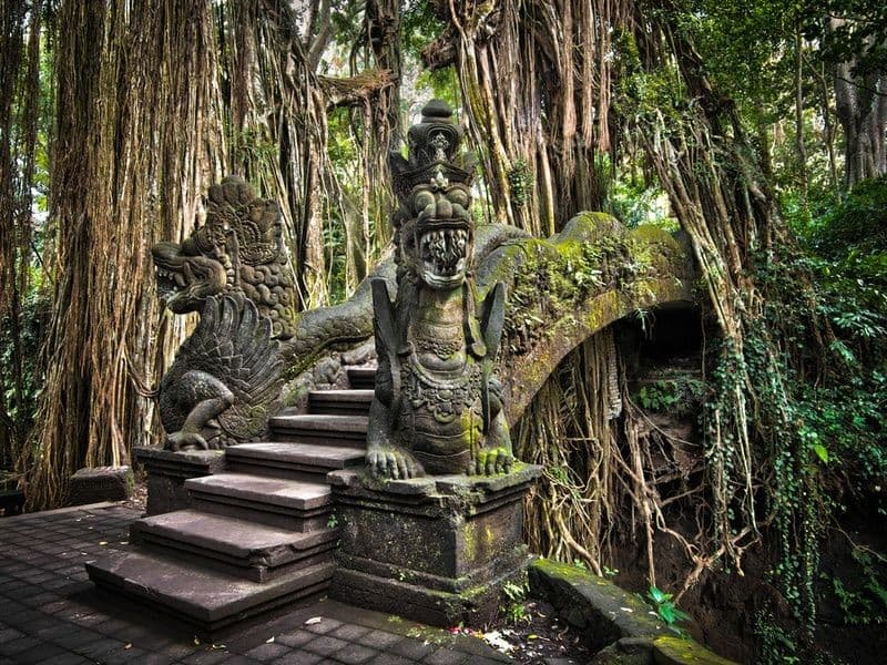 Sacred Monkey Forest
