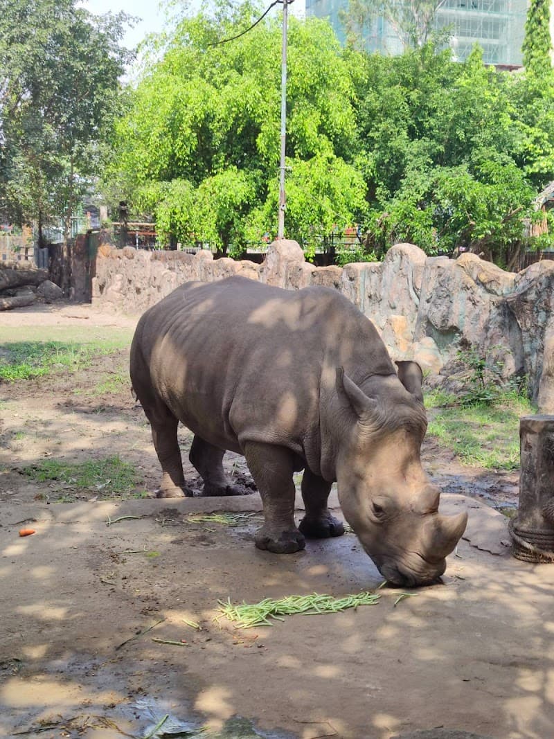Saigon Zoo and Botanical Gardens
