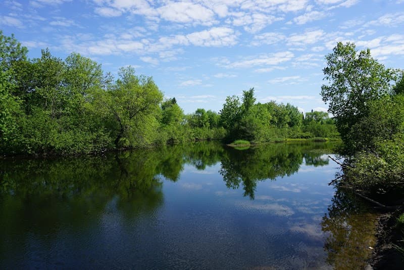 Saint-Charles River Linear Park Walk