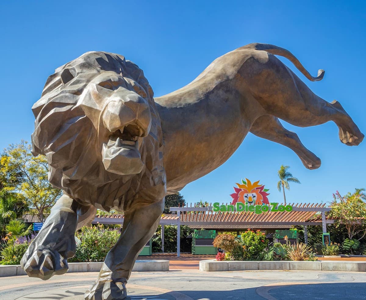 San Diego Zoo (Guided Tour Bus + Skyfari Tram)