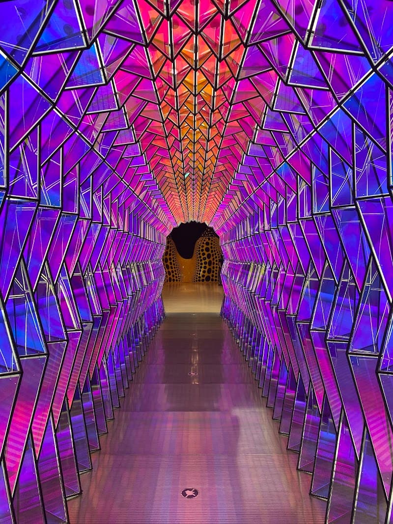 San Francisco Museum of Modern Art (SFMOMA)