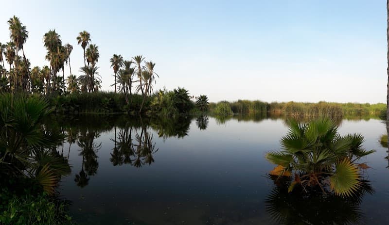 San José Estuary and Bird Sanctuary (Estero San José)