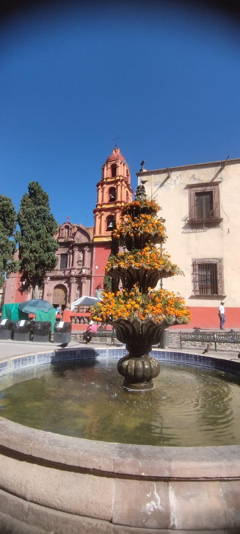 San Miguel de Allende Historic Center