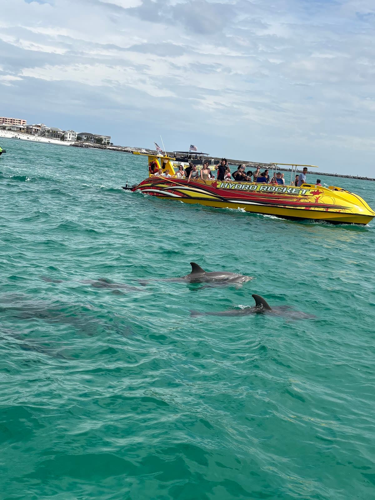 Sandestin Sunset Eco-Dolphin Cruise