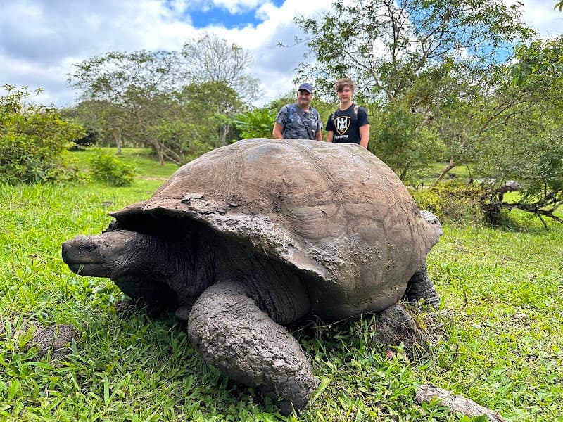 Santa Cruz Highlands & Giant Tortoise Reserve