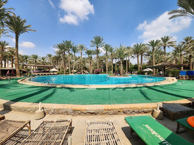 Saqqara Palm Club Restaurant