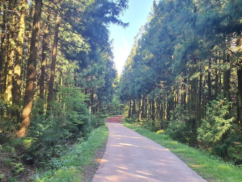 Saryeoni Forest Path