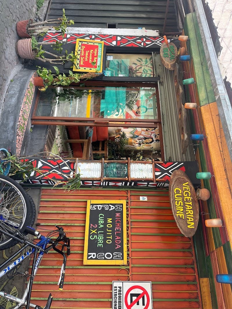 Sativa Studio Café