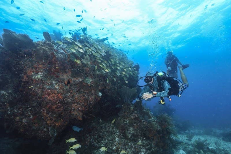 Scuba Total Dive Shop