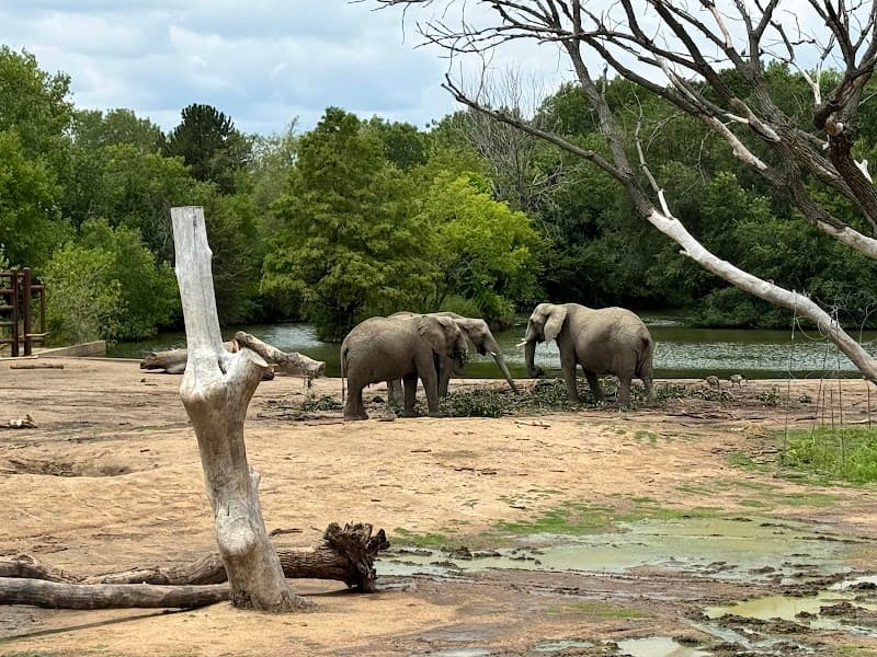 Sedgwick County Zoo