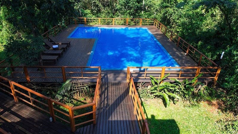Selva de Laurel