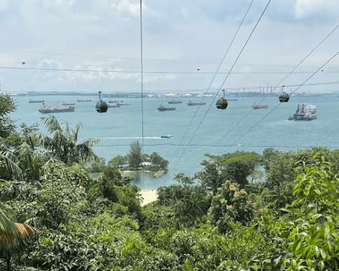 Sentosa MegaZip Zipline