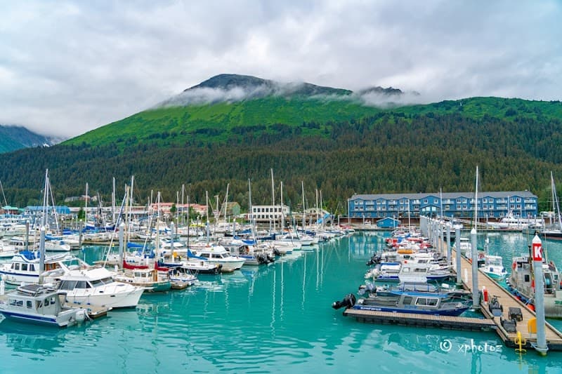 Seward Small Boat Harbor Free Explore