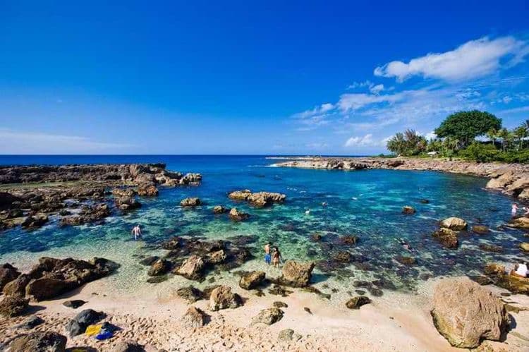 Shark's Cove