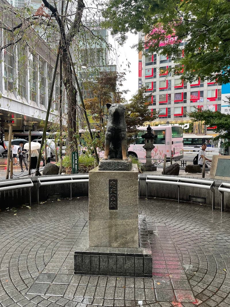 Shibuya Crossing & Hachikō Square