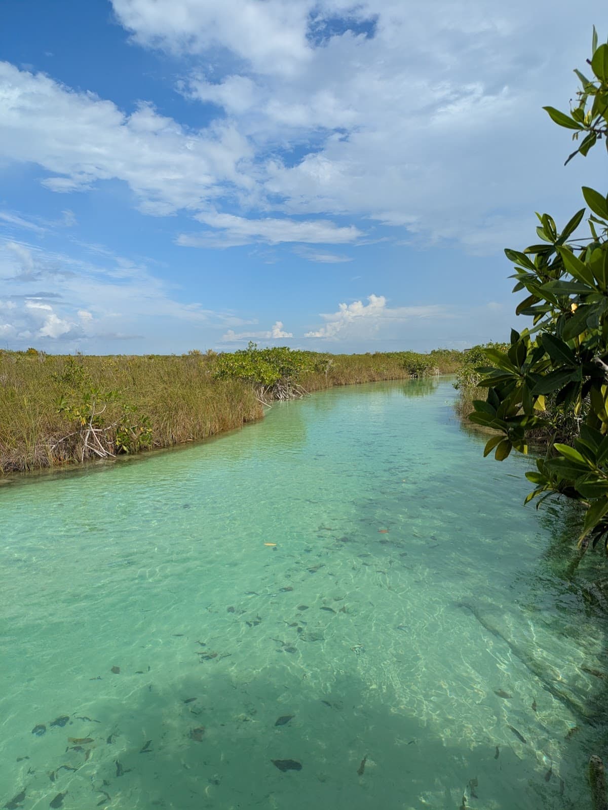 Sian Ka'an Biosphere Reserve