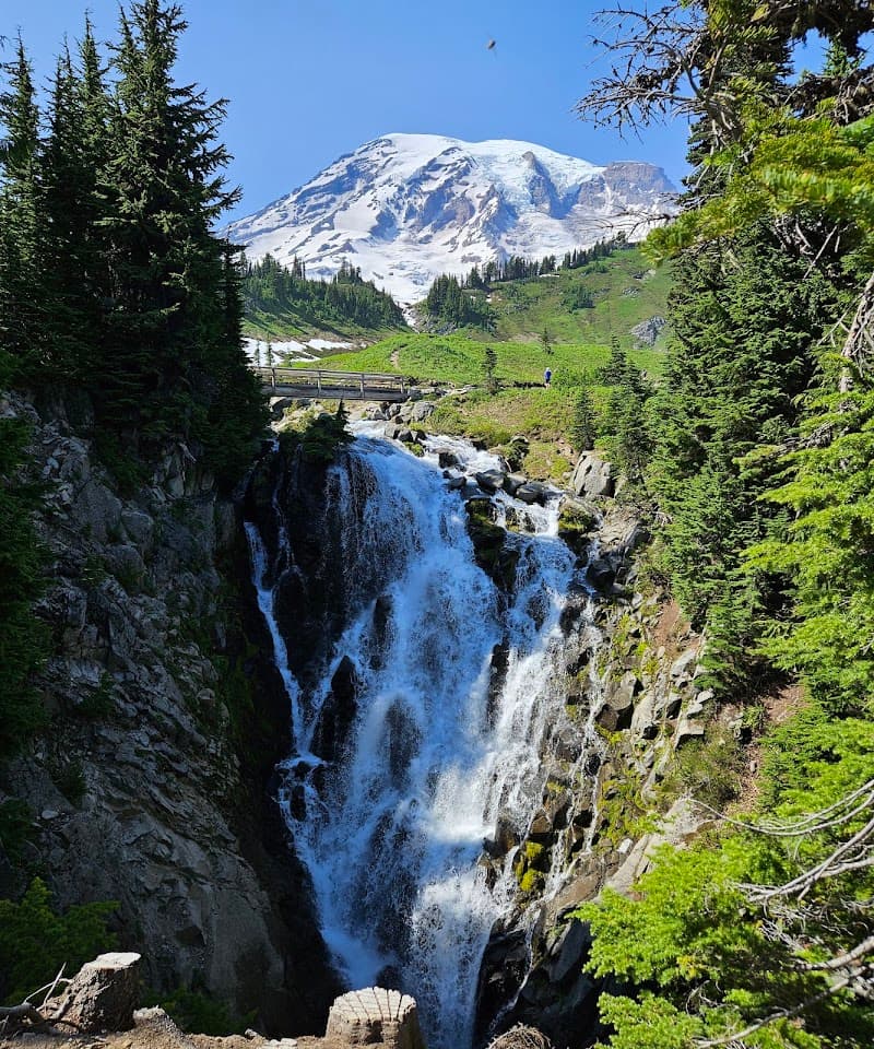 Skyline Trail to Myrtle Falls