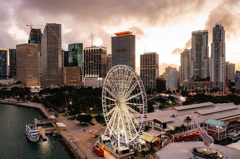 Skyviews Miami Ferris Wheel & Biscayne Bay Sunset Cruise Combo