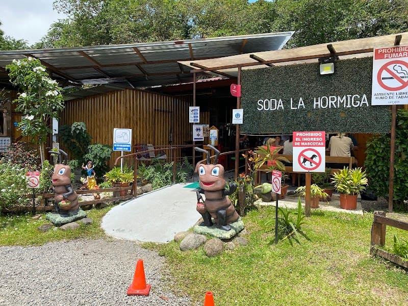 La Fortuna in Bloom: Volcano Views, Falls, and Vegetarian Flavors
