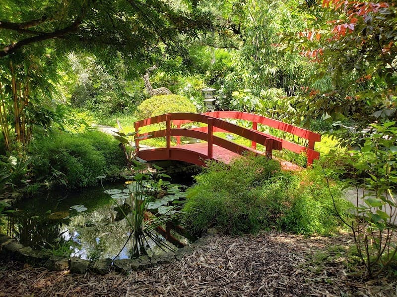 South Beach Stroll & Miami Beach Botanical Garden