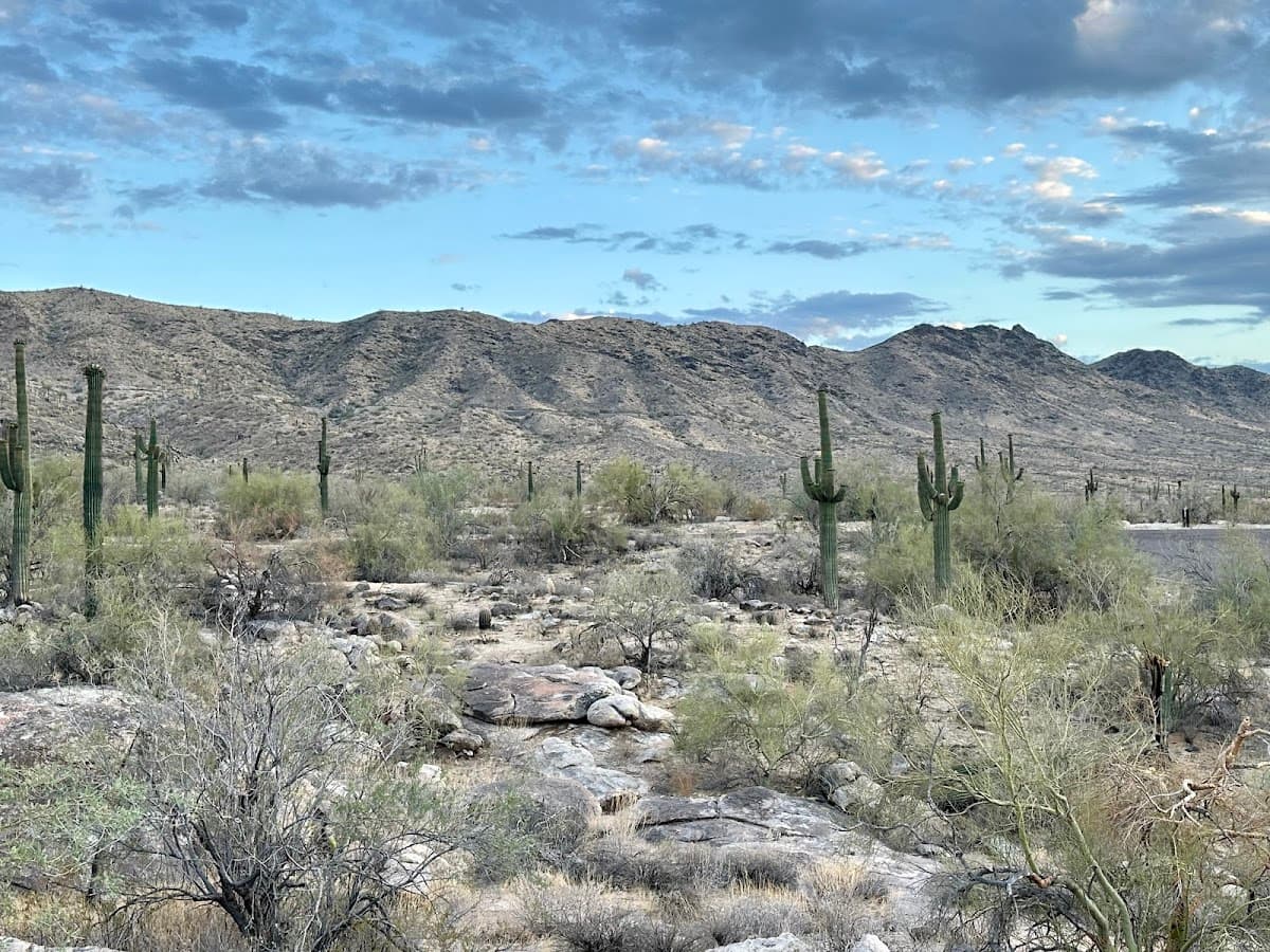 South Mountain Park Hike