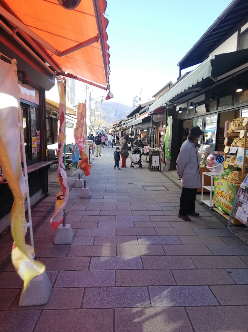 Romantic Matsumoto: Castles, Alps & Hidden Water Gardens