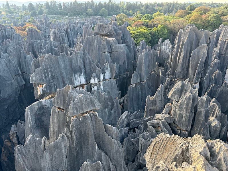 Stone Forest (Shilin, 石林)
