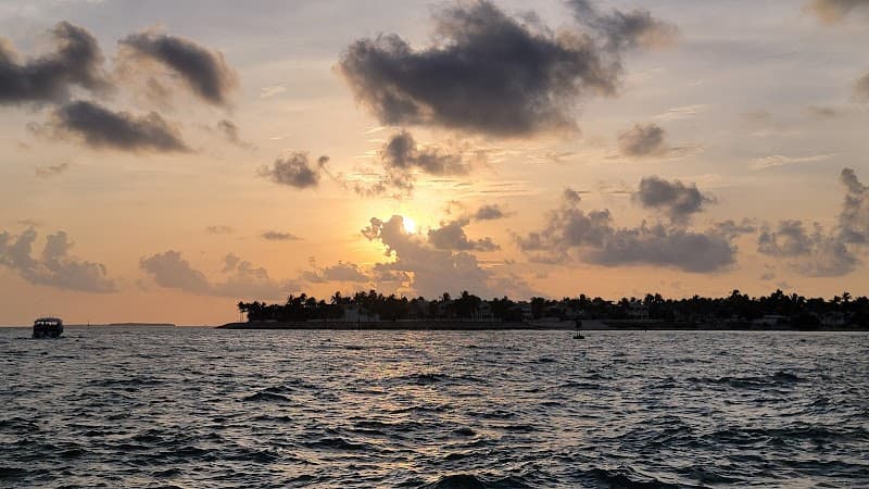 Street Food Market (Mallory Square Area)